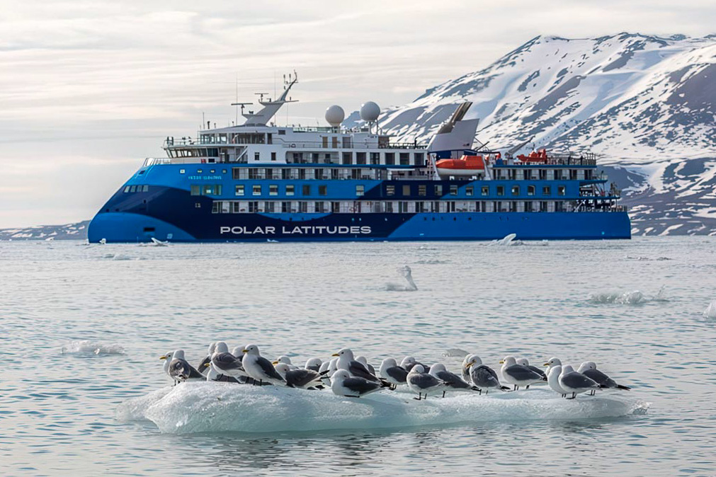 Ocean Albatros – P